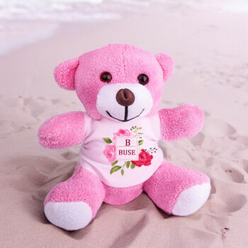 Kişiye Özel Baskılı Pembe Peluş Ayıcık