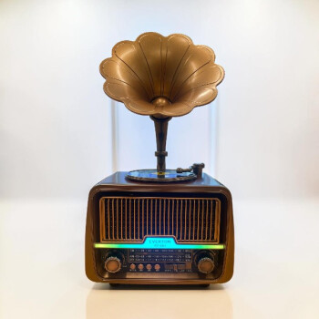 Everton Rt-601 Gramofon Görünümlü Nostaljik Bluetooth Radyo Müzik Çalar