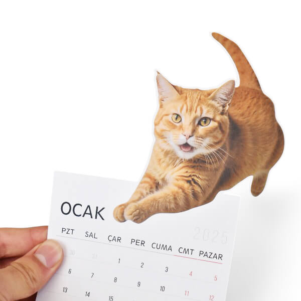 Kişiye Özel Masa Takvimi Özel Kesim