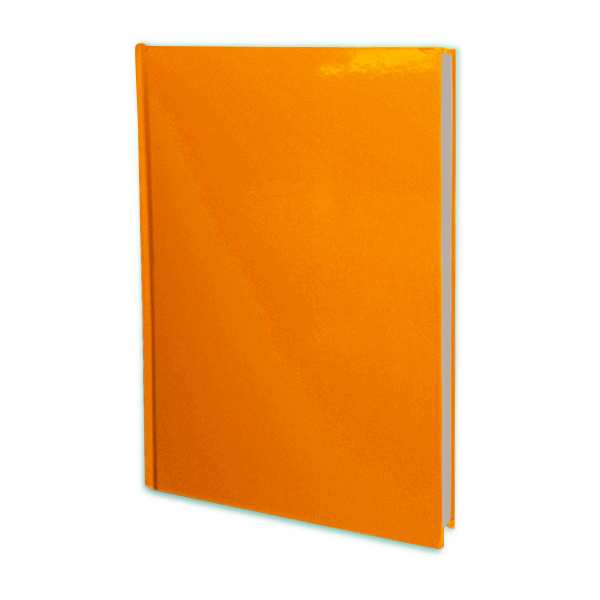 Kişiye Özel 160 Yaprak Sert Kapak 17X24 Cm Çizgili Tarihsiz Defter görsel