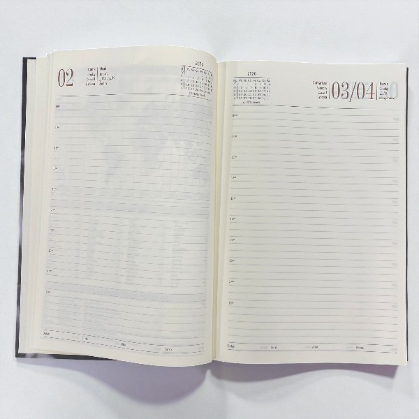 Atatürk Serisi 2026 Lizy Günlük Ajanda 17X24 Cm - Model 2 görsel