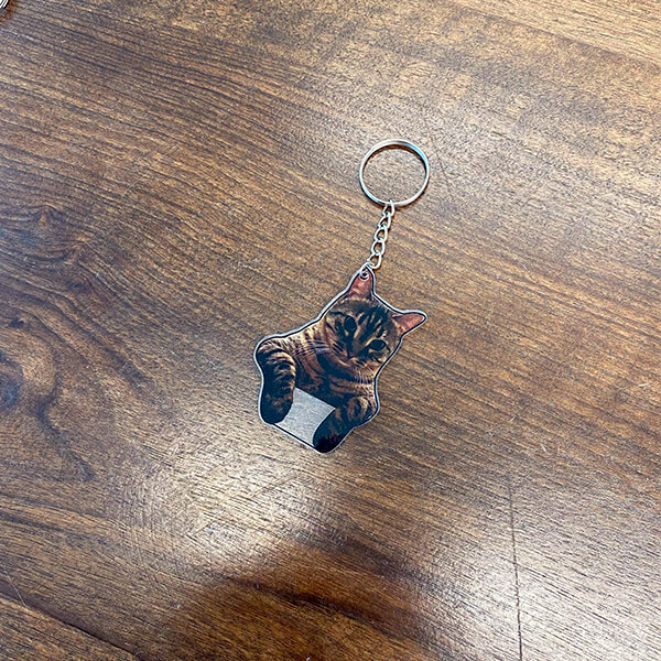 Hayvan Baskılı Pleksi Anahtarlık 7X4Cm