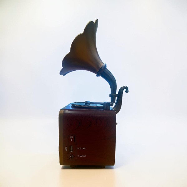 Everton Rt-601 Gramofon Görünümlü Nostaljik Bluetooth Radyo Müzik Çalar görsel