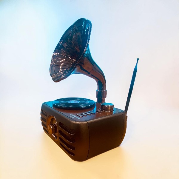 Everton Rt-704 Gramofon Görünümlü Nostaljik Retro Radyo
