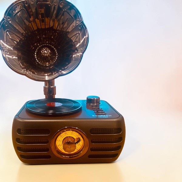 Everton Rt-704 Gramofon Görünümlü Nostaljik Retro Radyo