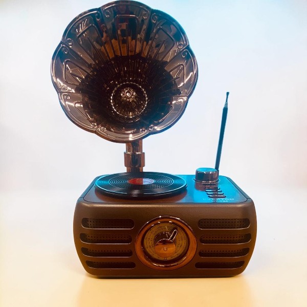 Everton Rt-704 Gramofon Görünümlü Nostaljik Retro Radyo