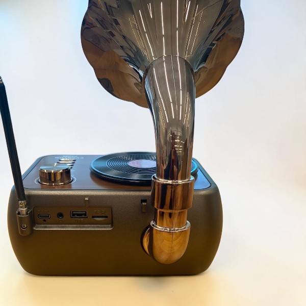 Everton Rt-704 Gramofon Görünümlü Nostaljik Retro Radyo
