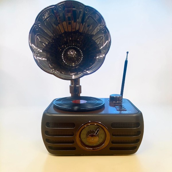 Everton Rt-704 Gramofon Görünümlü Nostaljik Retro Radyo