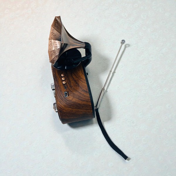 Everton Rt-746 Retro Radyo görsel