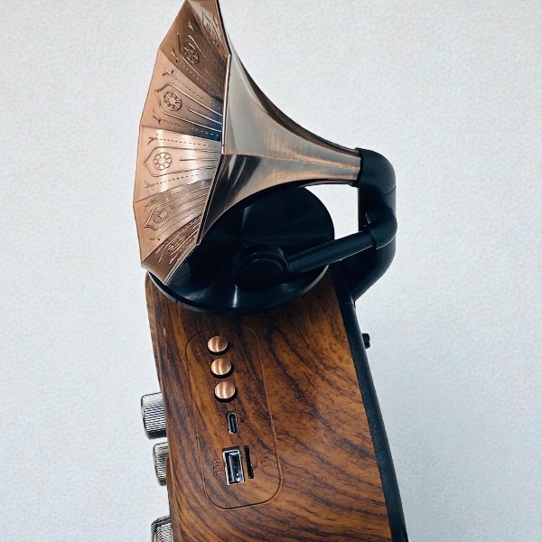 Everton Rt-748 Retro Radyo görsel