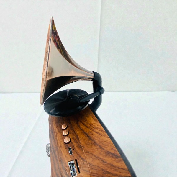 Everton Rt-748 Retro Radyo görsel