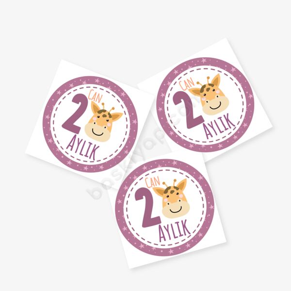 2 Aylık Bebek Etiket online tasarla