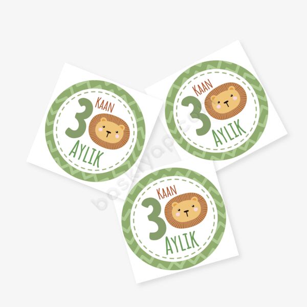 3 Aylık Bebek Etiket online tasarla
