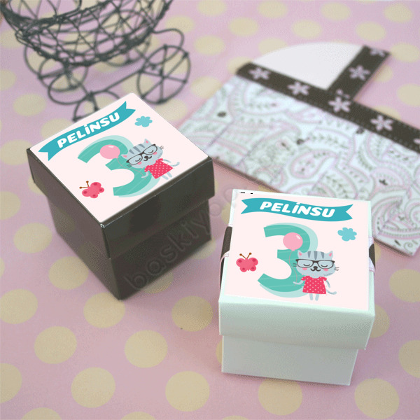 3 Yaş Doğum Günü Süsü online tasarla