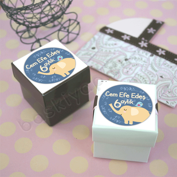 6 Aylık online tasarla