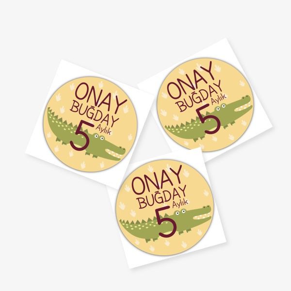 5 Aylık online tasarla