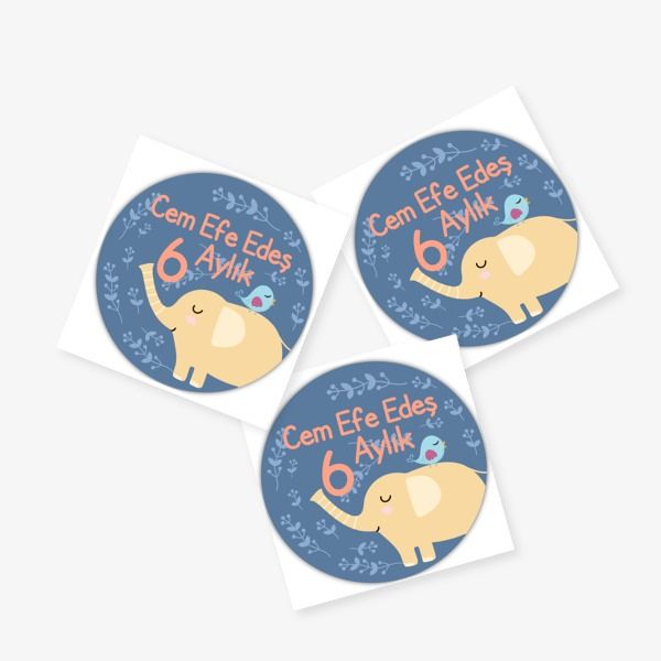 6 Aylık online tasarla