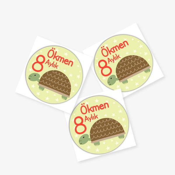 8 Aylık online tasarla