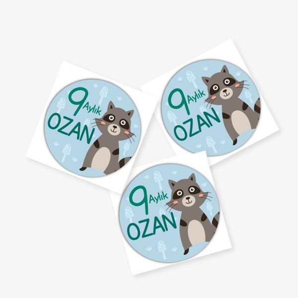 9 Aylık online tasarla