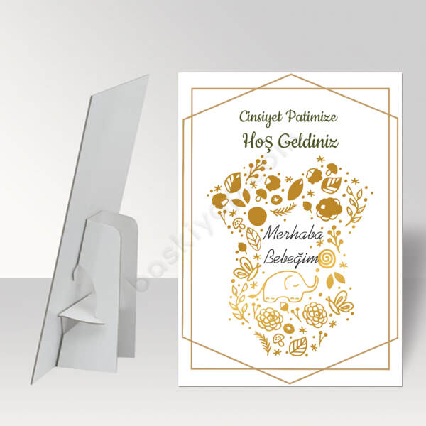 Cinsiyet Partisi Ayaklı Pano online tasarla