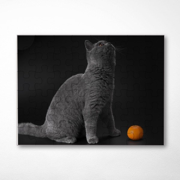 Kedi Puzzle Yapboz online tasarla