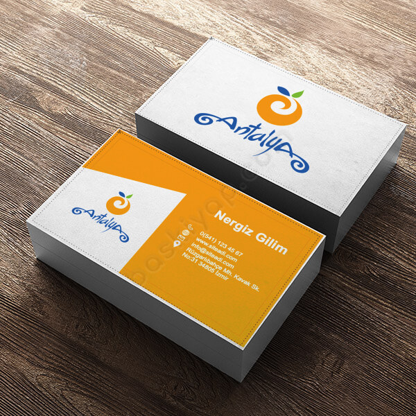 Kişiye Özel Turizm Temalı Standart Kartvizit online tasarla