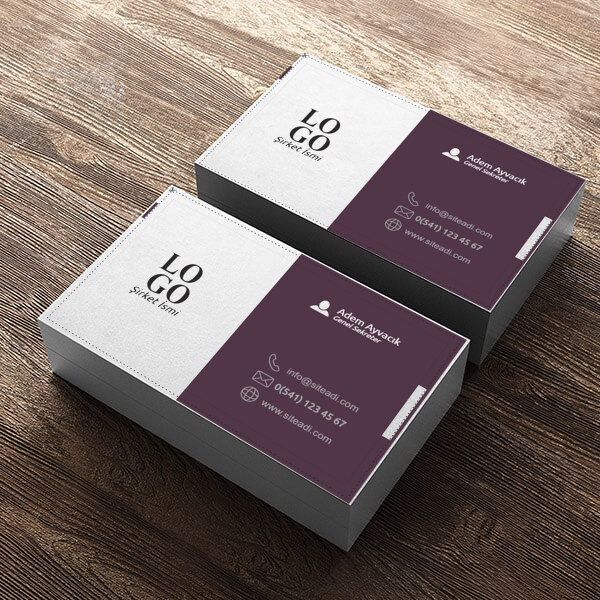 Kurumsal Şirket online tasarla