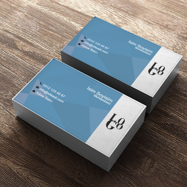 Muhasebe online tasarla