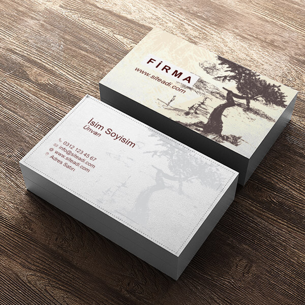 Şehir Bölge Planlama online tasarla