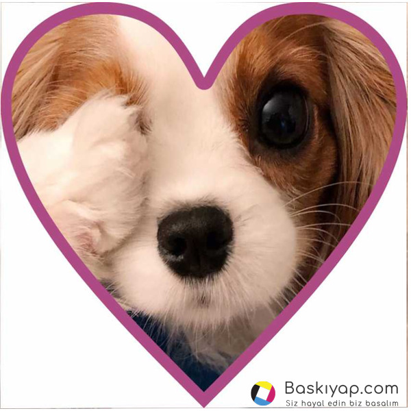 Sevgililer Günü TN50 online tasarla