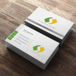 Açık Renkli Logolu online tasarla