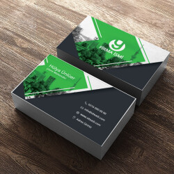 Çevre Mühendisi online tasarla