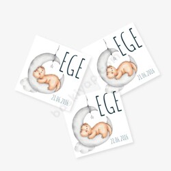 Dinazor Tasarım Sticker online tasarla