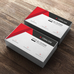 Muhasebe Müdürü 1 online tasarla