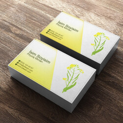 Sarı Çiçekli Peyzaj Mimarı online tasarla