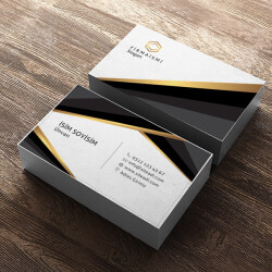 Satış Müdürü online tasarla