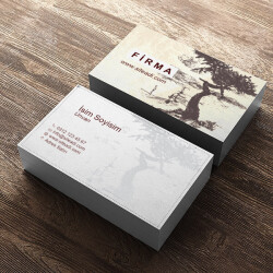 Şehir Bölge Planlama online tasarla