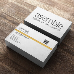 Standart Kartvizit online tasarla